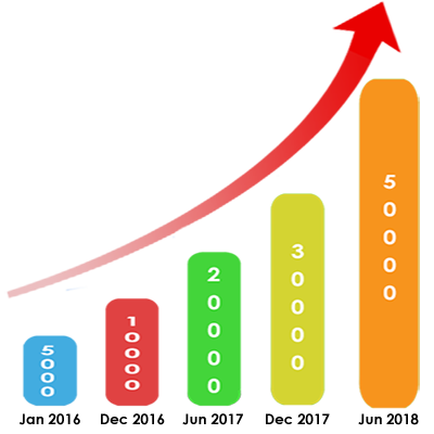 User Registration Stats