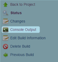 select console output