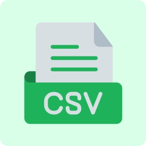 CSV / Excel