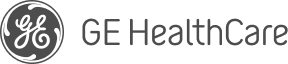HE Healthcare logo