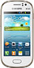 Samsung-Galaxy-Fame-GT-S6812
