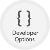 open developer options on website