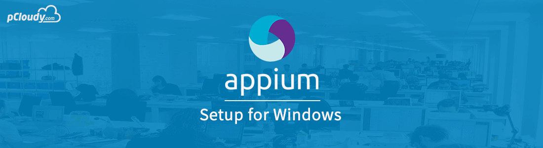 Appium Setup for Windows