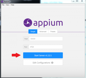 ApAppium Start Server v1.12.1