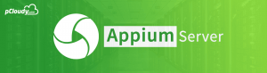 Appium Server