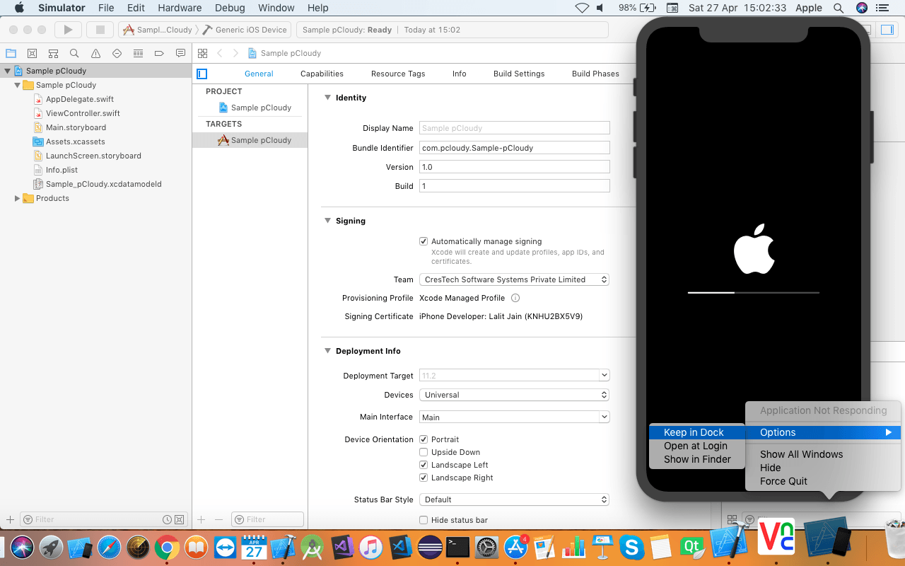 iOS simulator