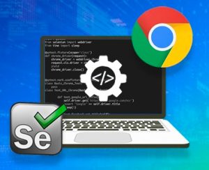 Selenium ChromeDriver