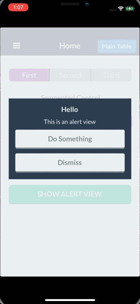 Alert view