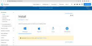 Flutter Install